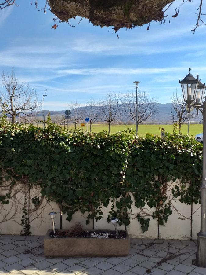 Hotel Landgasthof Adler باد كروزنغن المظهر الخارجي الصورة